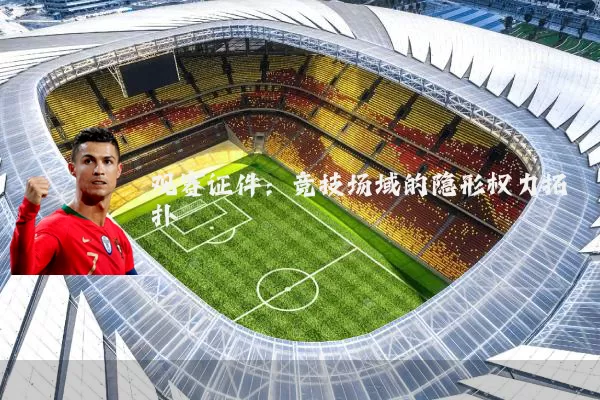 观赛证件:竞技场域的隐形权力拓扑