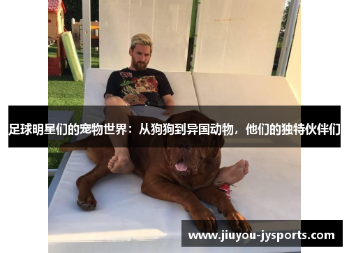 足球明星们的宠物世界：从狗狗到异国动物，他们的独特伙伴们